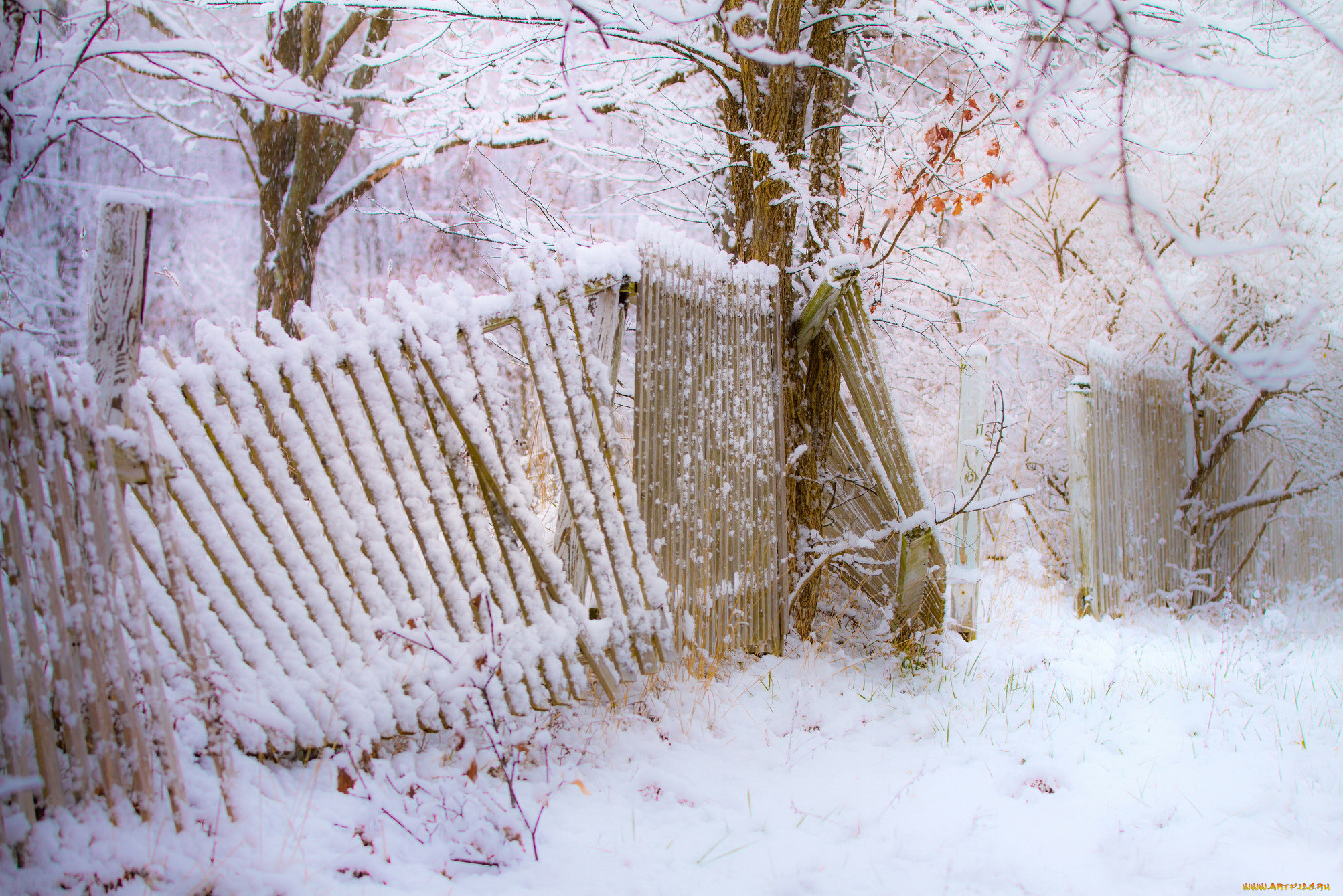 Падал старый снег. Старый деревянный забор зима. На красивый забор зимой. Деревянный забор в снегу. Зимний пейзаж с забором.